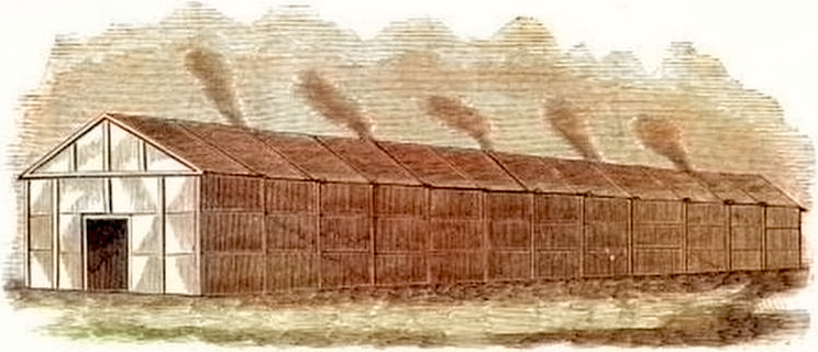 Seneca-Iroquois longhouse, 1891