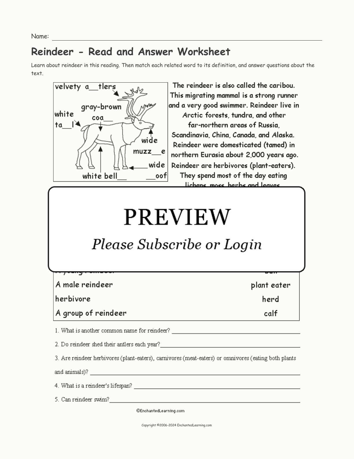 Reindeer - Read and Answer Worksheet interactive worksheet page 1